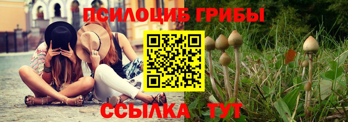 Псилоцибиновые грибы мицелий Казань