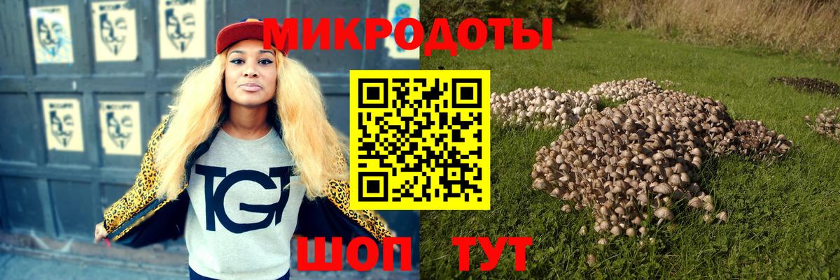 Казань  как найти наркотики  Псилоцибиновые грибы Cubensis  Вход с VPN  Галлюциногенные грибы мицелий 